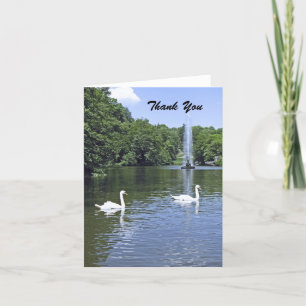 Thank You, Blank Inside, Swans and Fountain You Card
