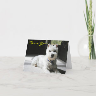 Thank You, Blank, Mini Schnauzer You Card
