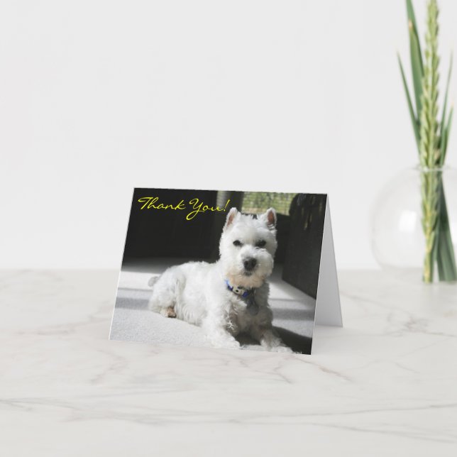 Thank You, Blank, Mini Schnauzer You Card (Front)
