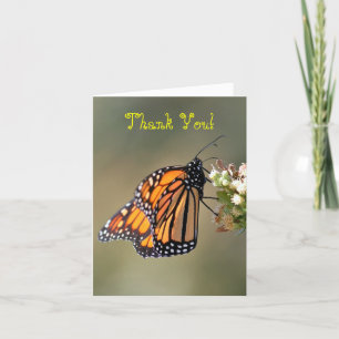 Thank You, Blank, Monarch Butterfly You Card