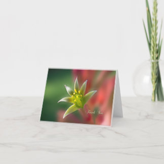 Thank You Blank Note Card