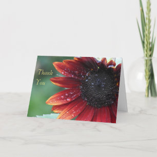 Thank You (blank) Red Sunflower Card