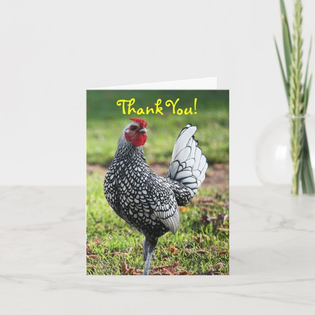 Thank You, Blank, Rooster Thank You Card (Front)