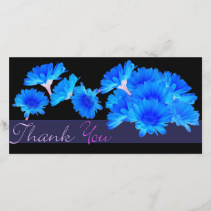THANK YOU BLUE ASTERS photocard