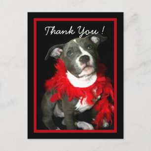 Thank You Blue Pitbull Puppy postcard