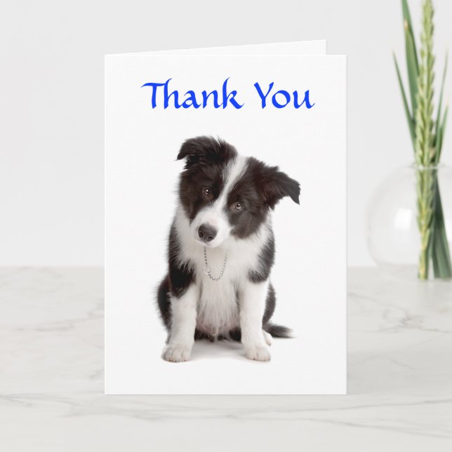 Thank You Border Collie Puppy Greeting Card (Front)