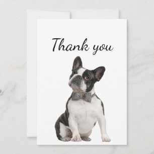 Thank You Boston Terrier Dog Pet Animal  Card