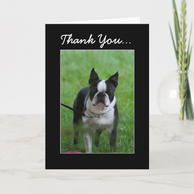 Thank You Boston Terrier greeting card (Front)