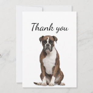 Thank You Boxer Dog Pet Animal