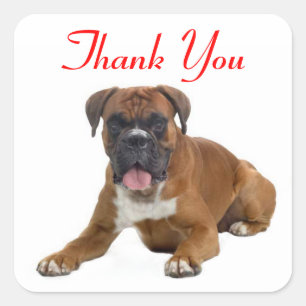 Thank You Boxer Puppy Dog Greeting Sticker