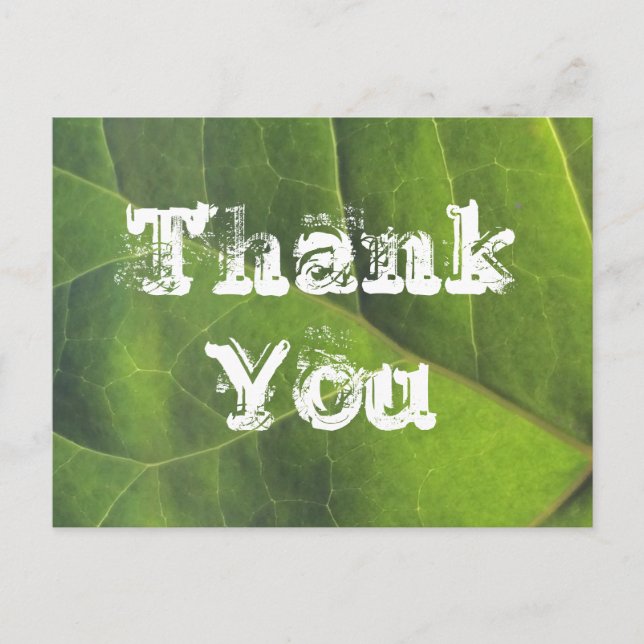 Thank You Bright Green Leaf Nature Appreciation Postcard (Front)