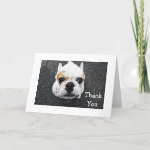 Thank You Bulldog Greeting Card - Gift Verse