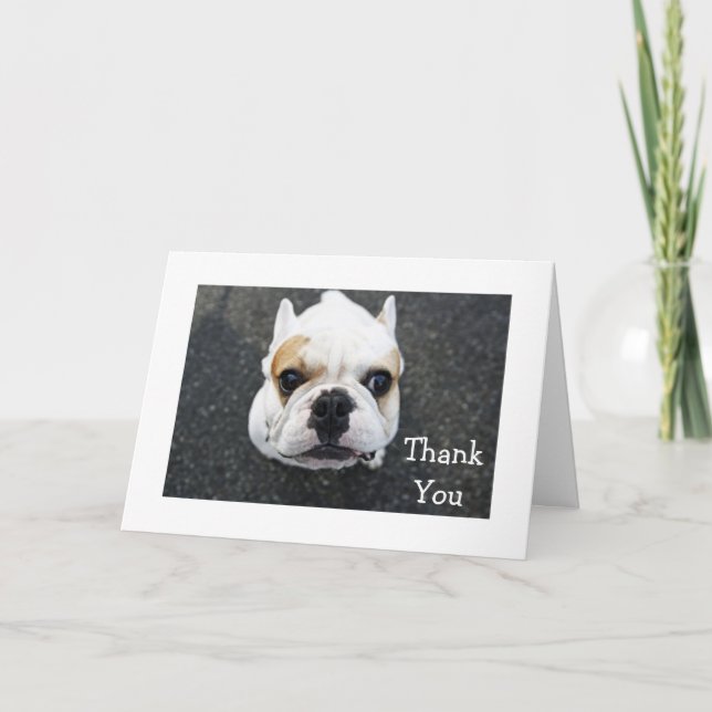 Thank You Bulldog Greeting Card - Gift Verse (Front)