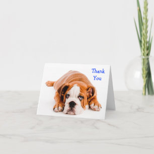 Thank You Bulldog Greeting Card - Kindness Verse