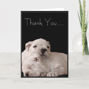 Thank You Bulldog Puppies Greeting Card