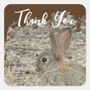 Thank You Bunny Photo Gender Neutral Appreciation Square Sticker