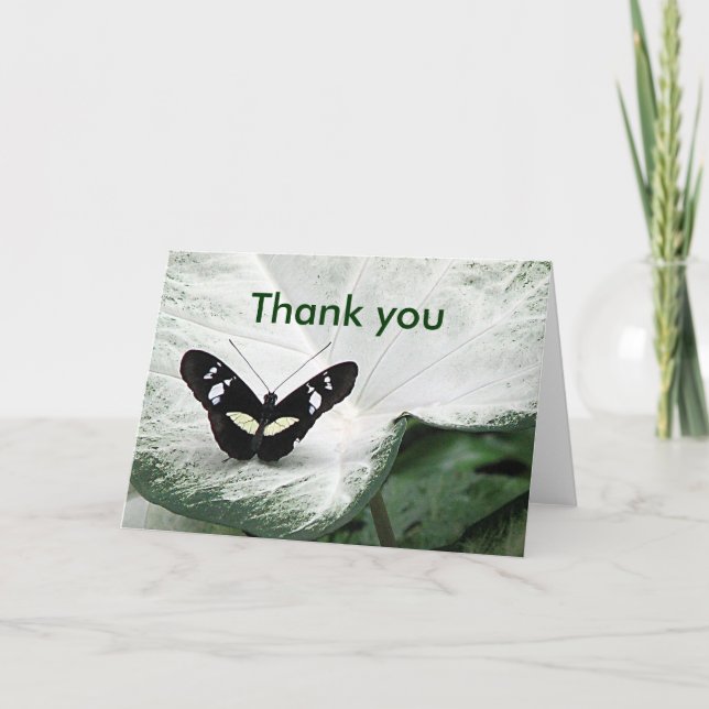 Thank you Butterfly Card (Front)
