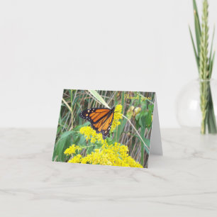 Thank You - Butterfly Card