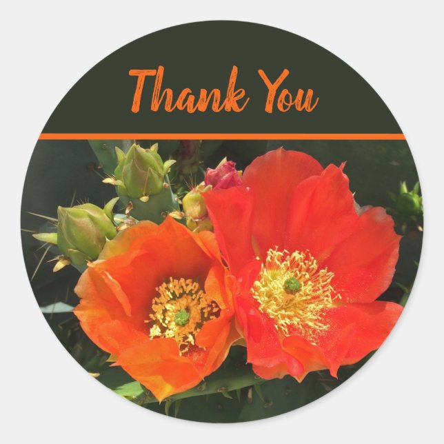 Thank You Cactus Flowers Desert Blooms Floral Classic Round Sticker (Front)