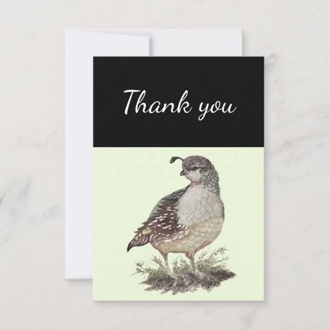 Thank You California Quail Bird Nature Art (Front)