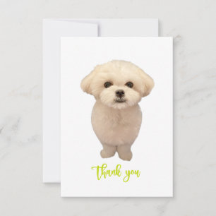 Thank You Card