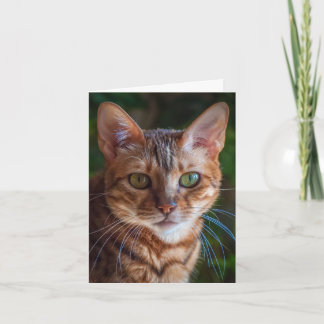 Thank You Card