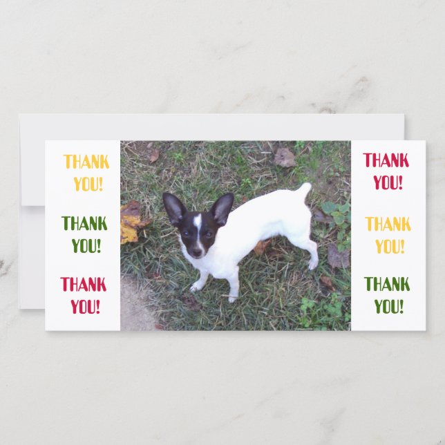 Thank You Card (Front)