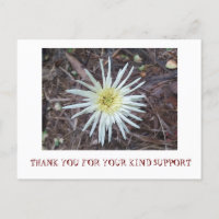 THANK YOU CARD