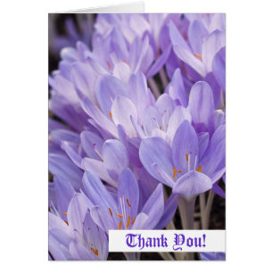 Thank You! Card