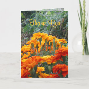 Thank You Card