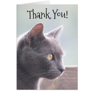 Thank You Card