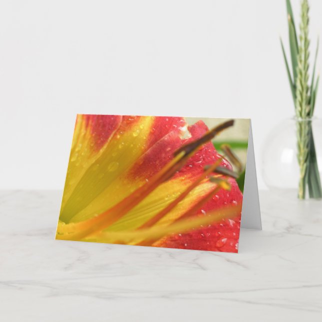 Thank You Card (Front)