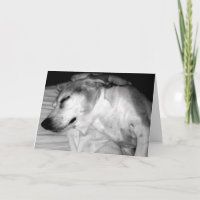 THANK YOU CARD 2