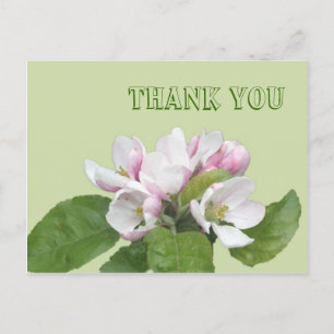 Thank you card, apple flowers postcard