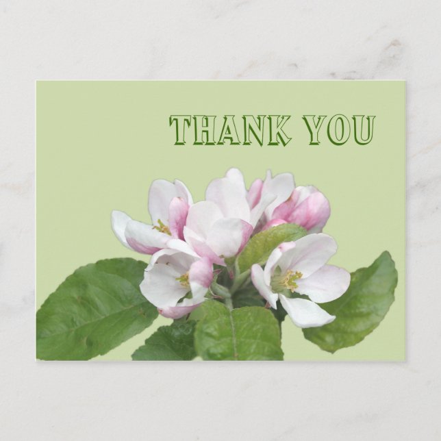 Thank you card, apple flowers postcard (Front)