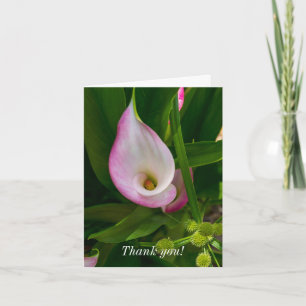 Thank You Card - Calla Roll