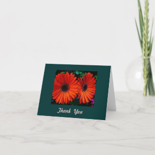 thank you card double orange colour daisy flowers