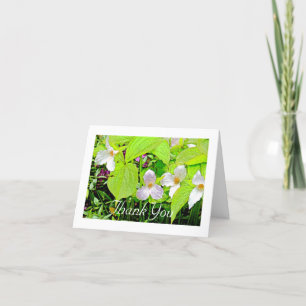 THANK YOU CARD/FLORAL/ TRILLIUM