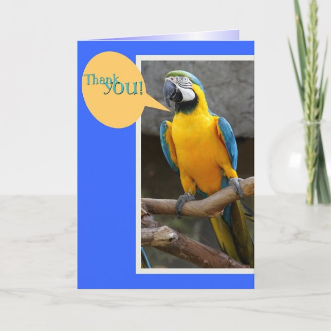 Thank you Card from Parrot (Front)