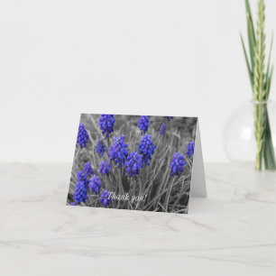 Thank you Card - Grape Hyacinths Family Select
