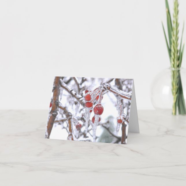 "THANK YOU CARD/RED BERRIES ENCASED IN ICE /WINTER THANK YOU CARD (Front)