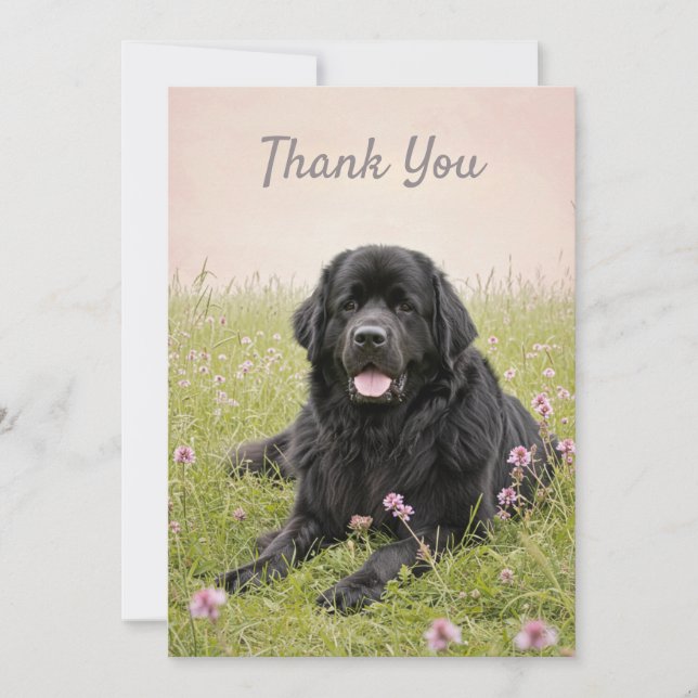 Thank You Card with a Newfoundland Dog (Front)