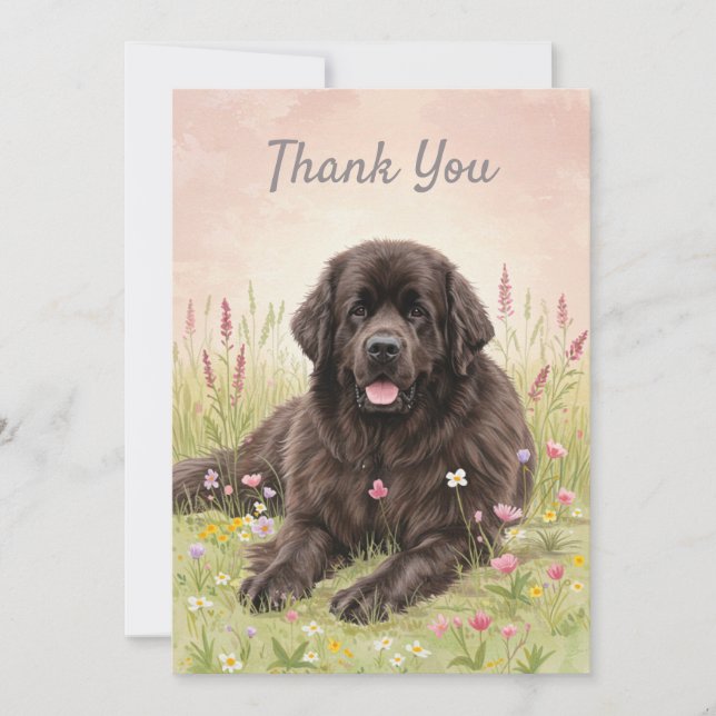 Thank You Card with a Newfoundland Dog (Front)
