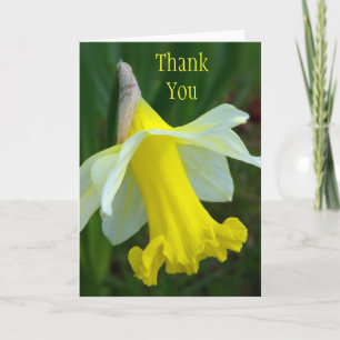 Thank You Card - Yellow Daffodil