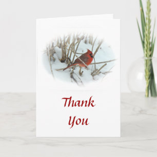 Thank You Cardinal Songbird