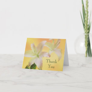 Thank You cards