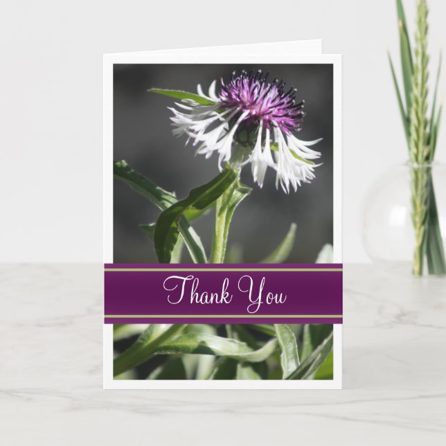 Thank You Cards (Front)