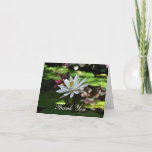 Thank You Cards - Water Lily on Pond