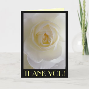Thank You Cards White Flowers Custom Greeting Card
