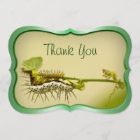 "Thank You" - Caterpillar Closeup Nature Photo .